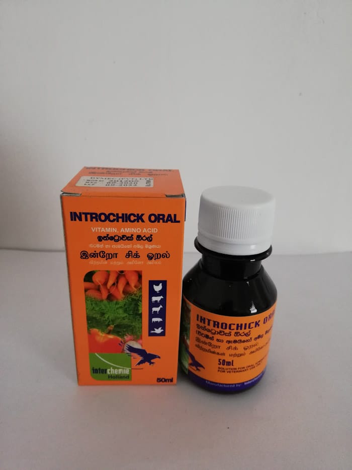 Introchik Oral 50ML