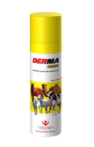 Derma Spray 200ML