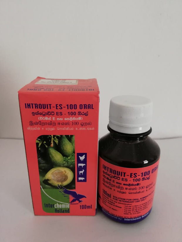 Introvit-ES-100 ML Oral – Gallus.lk