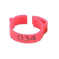 Poultry Leg Ring Pink