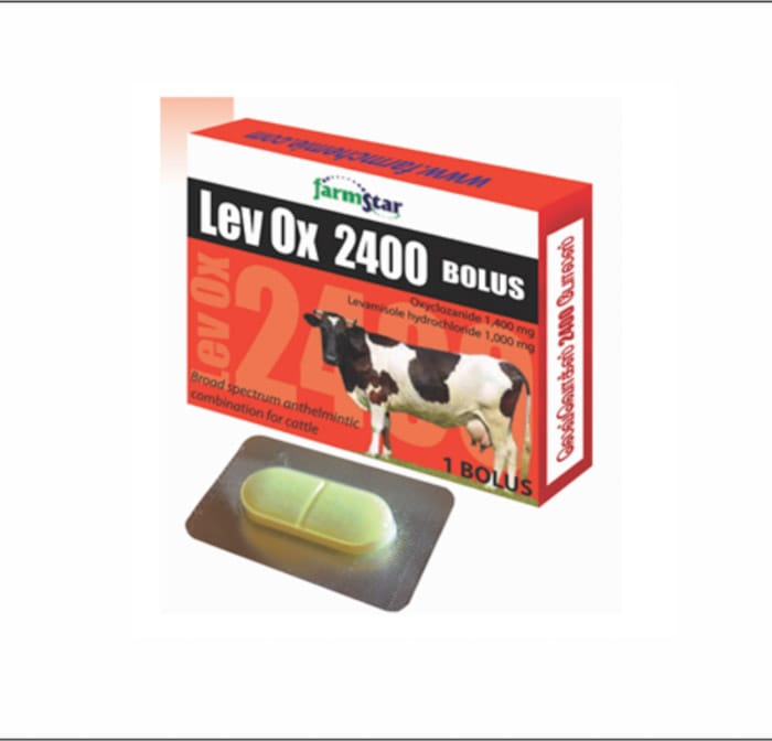 Levox Bolus 2400 1S