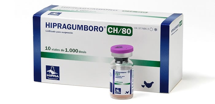 Gumboro 1000 Dose