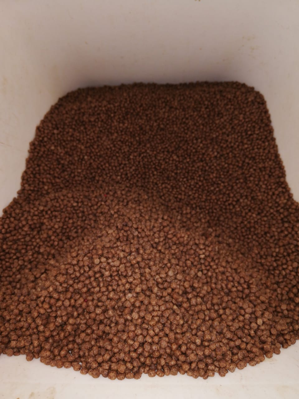 Fish Feed 1Kg
