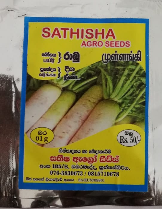 White Radish Seeds 1G