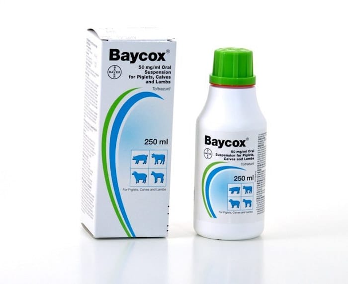 Baycox 250ML