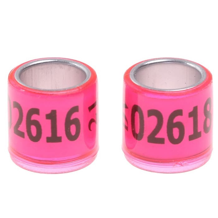 Pigeon Leg Ring Pink