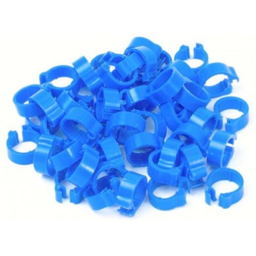 Pigeon Leg Ring Blue