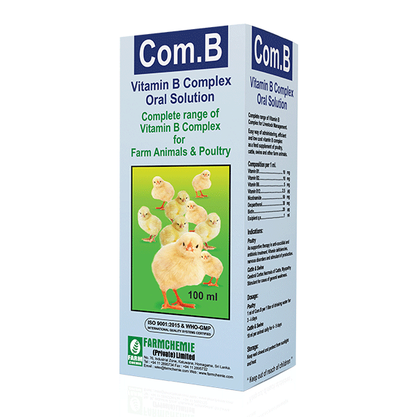 Com.B / காம்.பி/Com. B Liquid – Gallus.lk