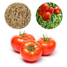 TOMATO (තක්කාලි , தக்காளி) SEEDS