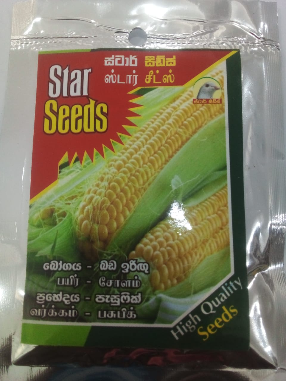Corn Seed