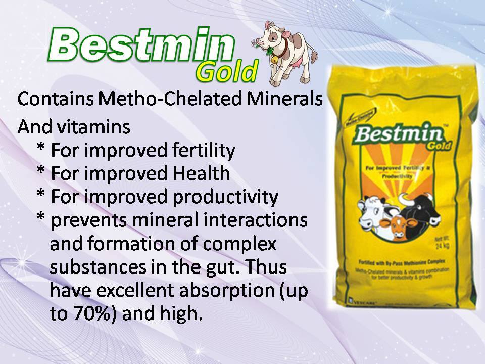 Bestmin Gold 1.2Kg/ බෙස්ටමින් ගෝල්ඩ්/பெஸ்ட்மின்