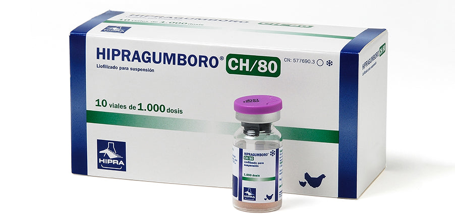 Gumboro 500 Dose l IBD Dose 500 l Bursal Disease 500 Dose l Gumboro Disease 500 Dose