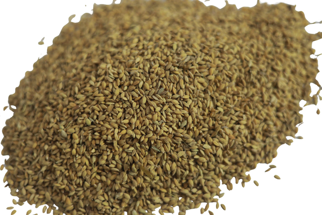 Grower Feed 50Kg I Super Feed Grower Feed 50kg