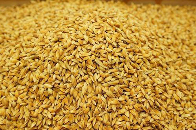 Paddy Samba 1Kg