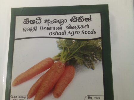 Carrot Seeds