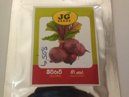 Beet Root Seed