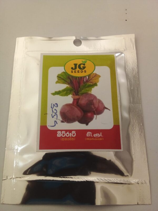 Beet Root Seed