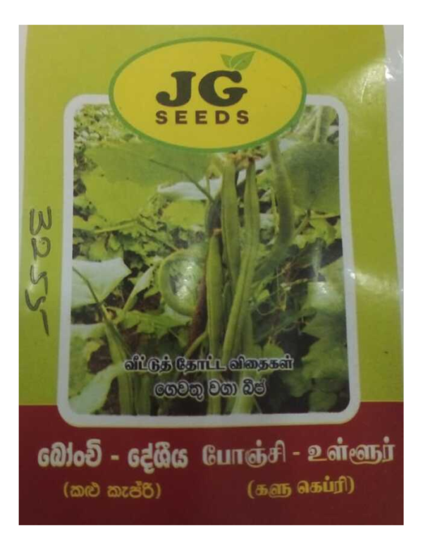 බෝංචි