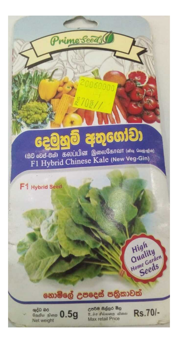 දෙමුහුන් චීන කේල්