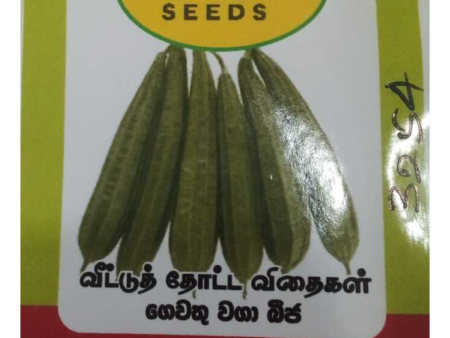 වැටකොළු බීජ