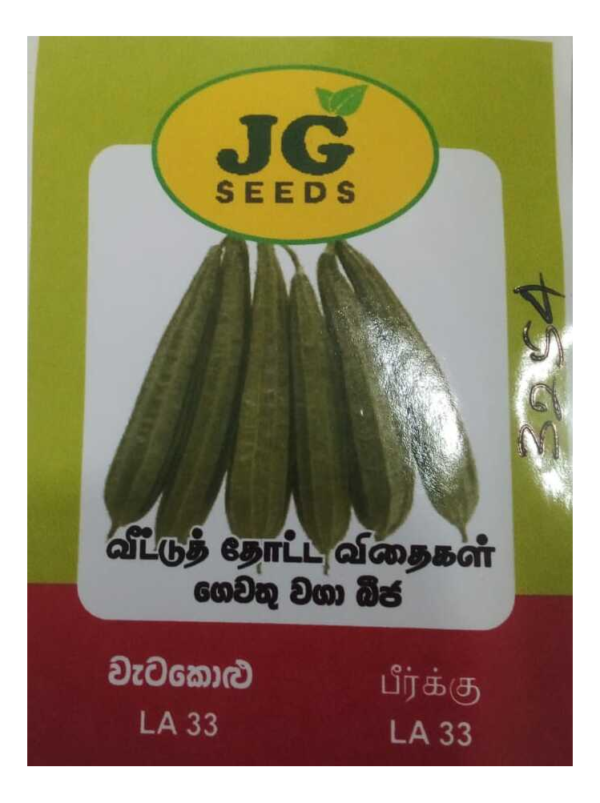 වැටකොළු බීජ