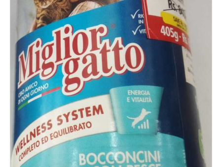 Miglior gatto