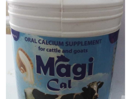 Milk Magi