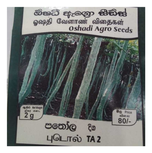 පතෝල