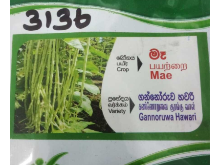 Lenthil Seeds