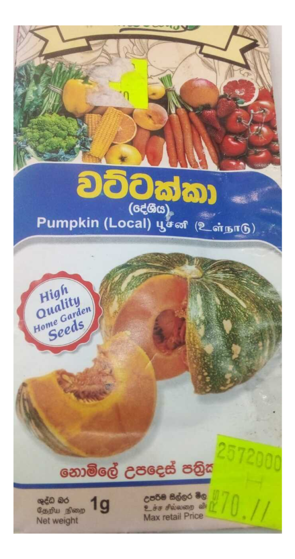 වට්ටක්කා බීජ