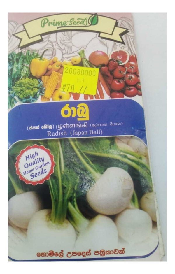 ராபு விதைகள்